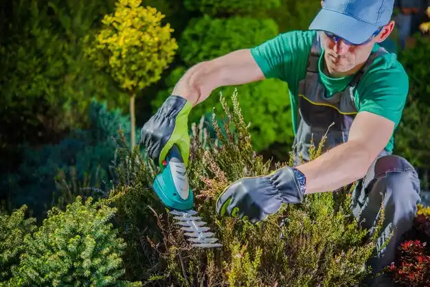 landscaping services Greenwood Lake